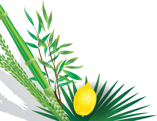 decorative image